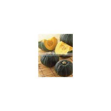 new crop fresh saffron pumpkin