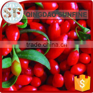 2016 new crop Chinese red organic Ningxia wolfberry with low price