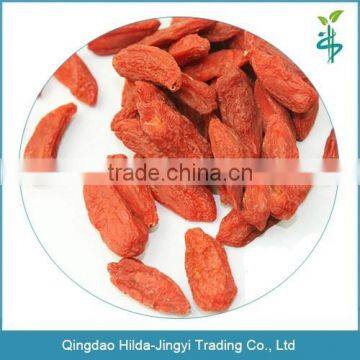 High quality dried organic goji berries