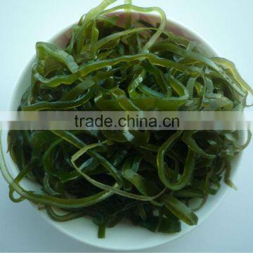 Hot sale product:Machine dried laminaria cut