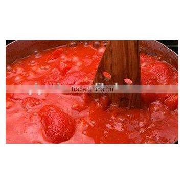 Delicious caned Tomato sauce,Ketchup with cheap price (Y30)