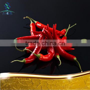 red chilli without stem