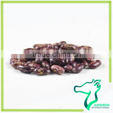 Most Popular Big Black Purple Speckled Kidney Beans