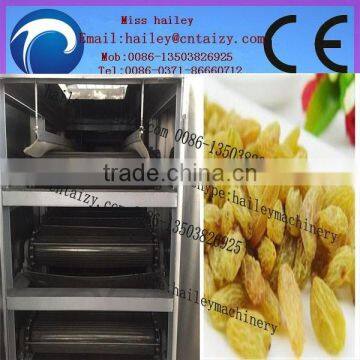 full-stainless and new design charcoal briquette mesh belt dryer