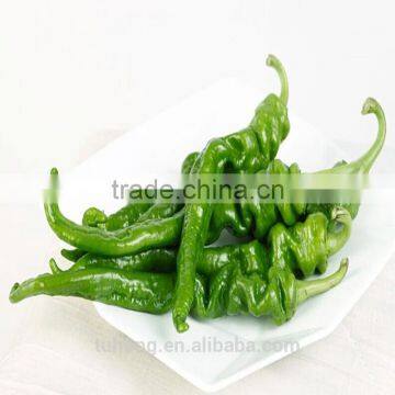 Early Maturity F1 Hybrid Wrinkled Pepper Seeds with high Yield