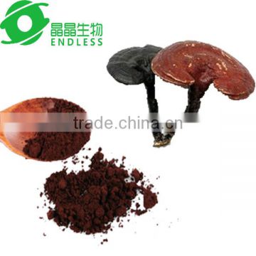 Red Reishi Mushroom Spores Powder