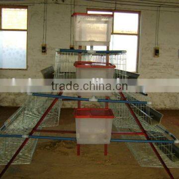 Battery Layer Poultry Cages For Nigeria/Africa