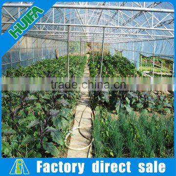 PE film Multi span greenhouse for tomato