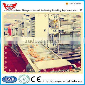 auromatic egg collector/automatic egg collecting equipment/automatic equipment for chicken farm