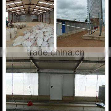 well-design & low price light steel structure chicken house