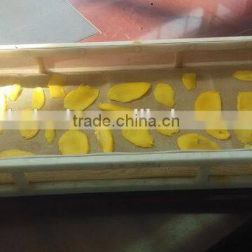 Microwave Vacuum Dryer for Mango/mango Slice photo-3