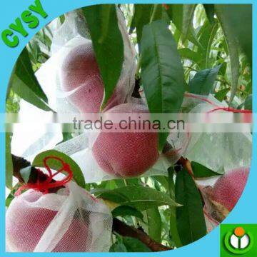 Vegetable Garden Plastic Insect Netting