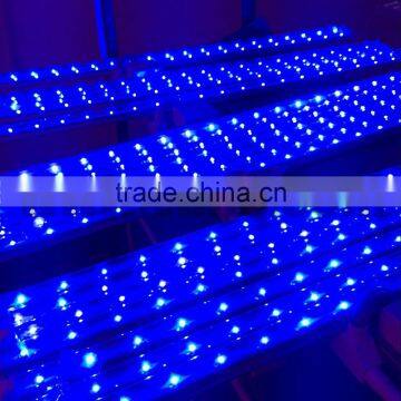 Grow led lights strip,grow led lights strip,blue led bar