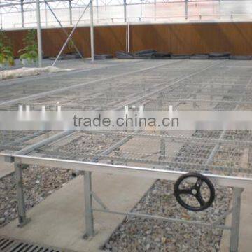 Hot-Dip Galvanized Steel Pipe High Glass Greenhouse For Seedbed Planting photo-3
