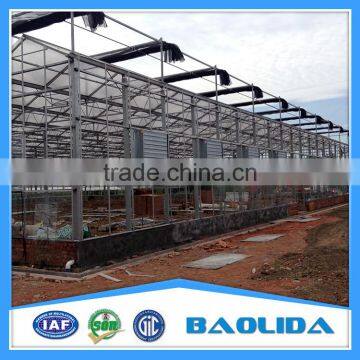 Venlo Type Commercial Fiber Glass Greenhouse