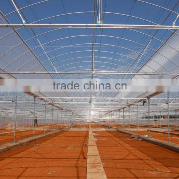 commercial farming polycarbonatge greenhouse shade green house design