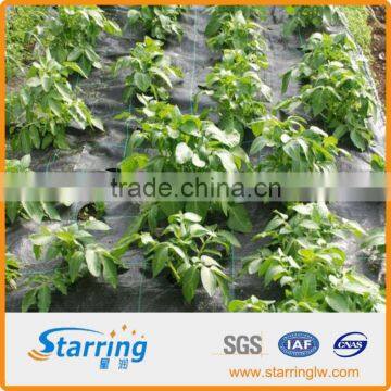 agriculturer woven film supplier