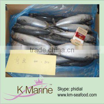 Best selling 300-500g land frozen mackerel wr