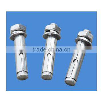 Galvanized expansion anchor bolt with low price