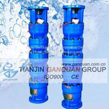 Submersible borehole pump (deep well water pump)