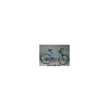 mountain bike