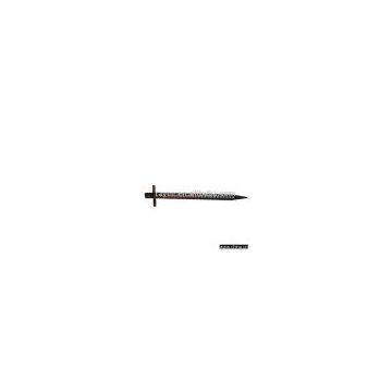 Tent Nail