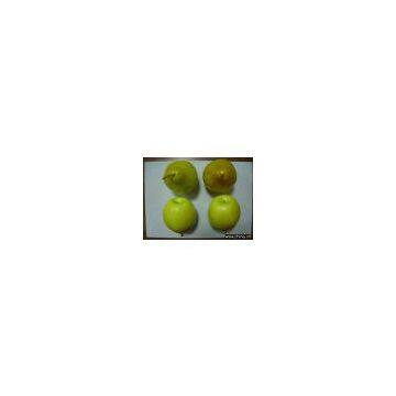 Artificial Vegetable