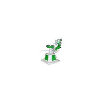 Glass Shape Edging Machine (GSEM)