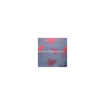 T/R fabric(t/r,jacquard fabric )