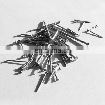 Common Galvanized Iron Nail