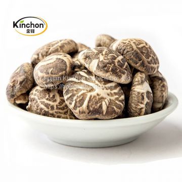 White Tea Shiitake Mushroom