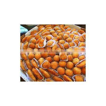 Beikn New Technology Coxinha Maker Machine for Sale photo-2