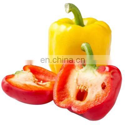 frozen red pepper frozen bell pepper with good quality and moderate price in China