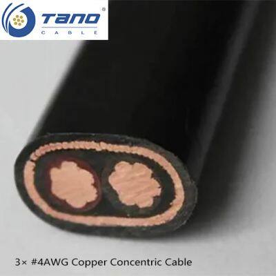 3× #6AWG Copper Concentric Cable – Flame Retardant XLPE Insulated Low Voltage