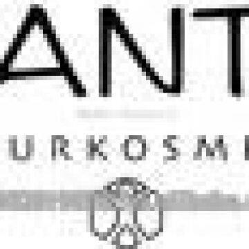 Herbal Hair Color Strawberry Blonde, 100g photo-2