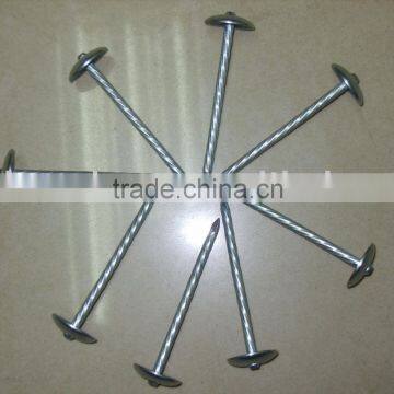 Roofing Nails