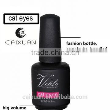 Factory Price Fashion Cat Eye Color Gel Nail Polish Oem photo-3