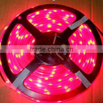 Flexible Smd 3528 Rgb Led Strip Light Decoration Dc12v photo-2