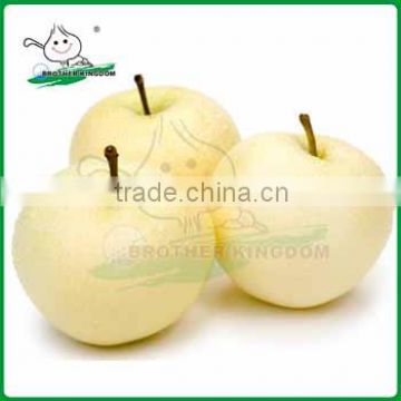 Sell crown pear/fresh crown pear/Chinese crown pear