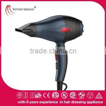 Professional Hair DryerIonic hair dryer Gray hair dryer