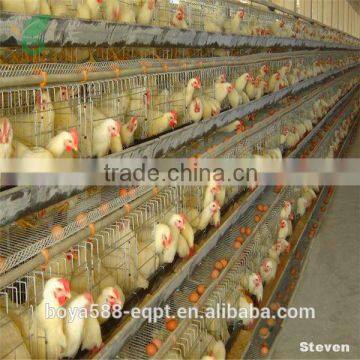 Poultry Battery Cages for Duck Farm photo-3