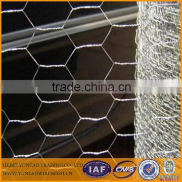 Galvanized Chicken Wire Mesh (THE REAL FACTORY)