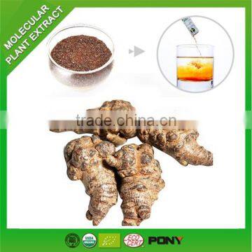 Herbal Supplement High potency Panax Notoginseng Extract                        
                                                Quality Choice