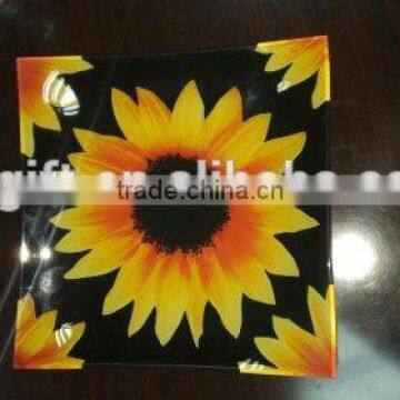 2015 New Decal Printing Square Glass Plate photo-6