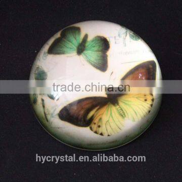 wholesale beautiful round bird glass paperweight