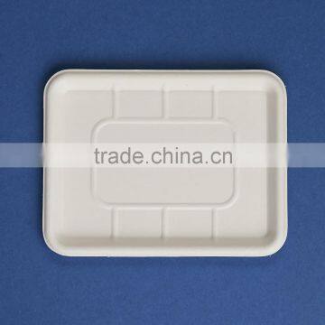 Disposable 100% Biodegradable Fruit Tray photo-3