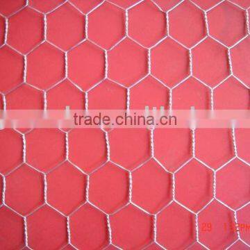 Hexagonal wire netting