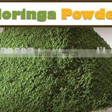 OEM Brand Private Label Moringa Leaves Capsule