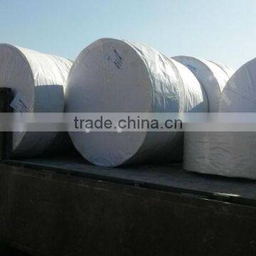 pp Woven Fabric