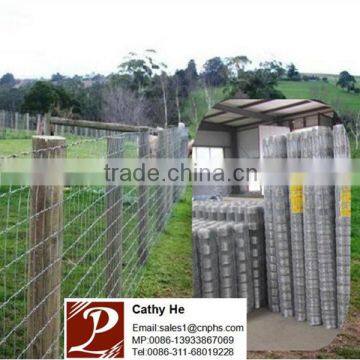 Hot dipped galvanized wire mesh fence/ boundary fencing